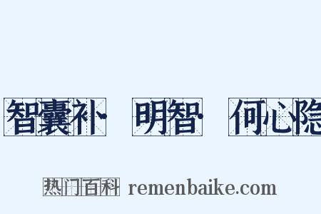 智囊补·明智·何心隐是什么意思的图片